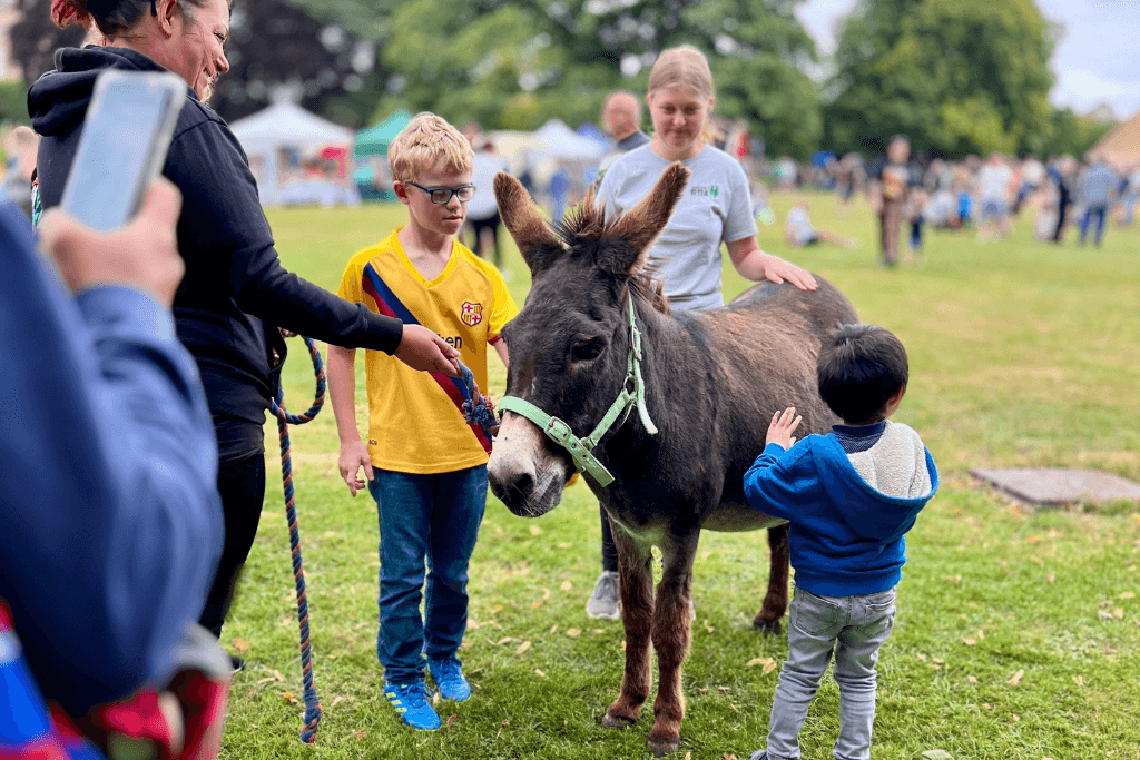 Donkey stood on parkland, being guided by an adult female, with 3 children stood petting the donkey