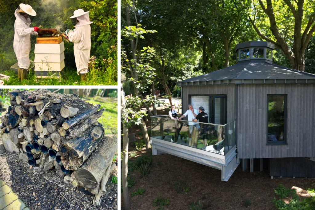 3 apperture image. One showing 2 female beekeeprs. One showing a wooden bug house. One showing people on a balcony in a wooden pod, surrounded by trees