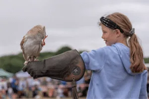 A side-view, close-up shot of a young person holding a small barn owl on their gloved hand. The owl, which is mostly white with a light brown back, is facing away from the person. The person is smiling and looking at the owl, wearing a blue sweatshirt and a black headband. The hand holding the owl is covered by a thick, brown leather falconry glove. The background is blurred, showing a crowd of people.