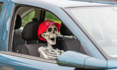 Vehicles at Hesslewood