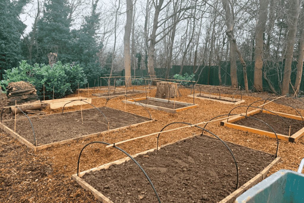 Newly constructed raised vegetable growing beds with hoop frames surrounded by woodland at Hesslewood Office Park, supporting nature and sustainable food growing on site