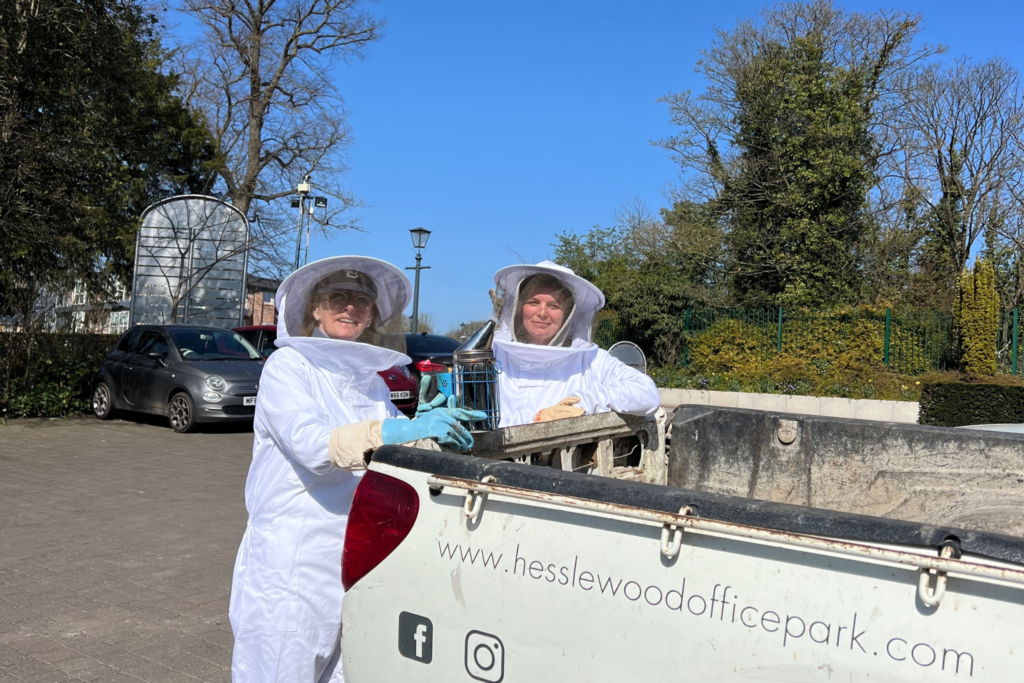 Two beekeepers in protective suits tending to beehives at Hesslewood Office Park, supporting pollinator health and biodiversity on the grounds