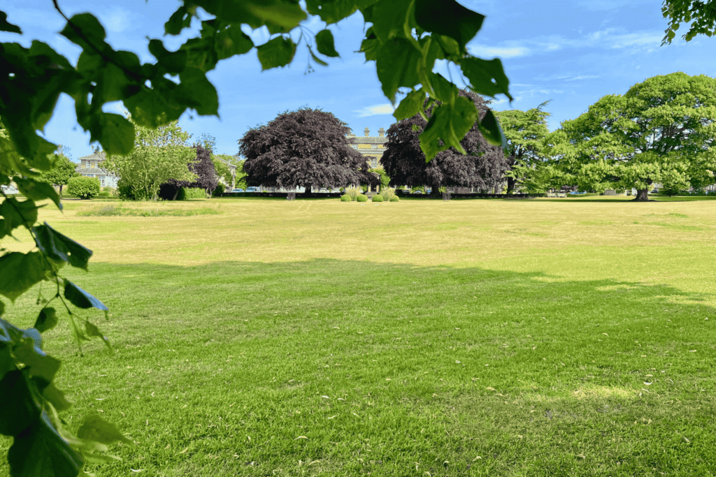 Sweeping parkland lawns and mature trees at Hesslewood Office Park, with the elegant Georgian Hesslewood Hall visible in the distance on a sunny summer's day