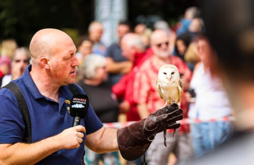 Owl Adventures at Classic Cars at Hesslewood 2026
